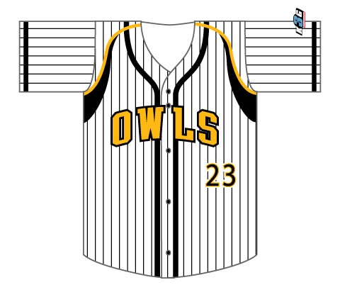 SUBLIMATED FULL BUTTON BASEBALL JERSEY