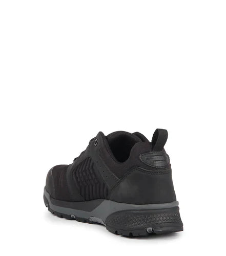 Trainer EFit