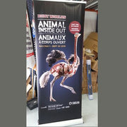Roll Up Banners – Heavy Duty Base